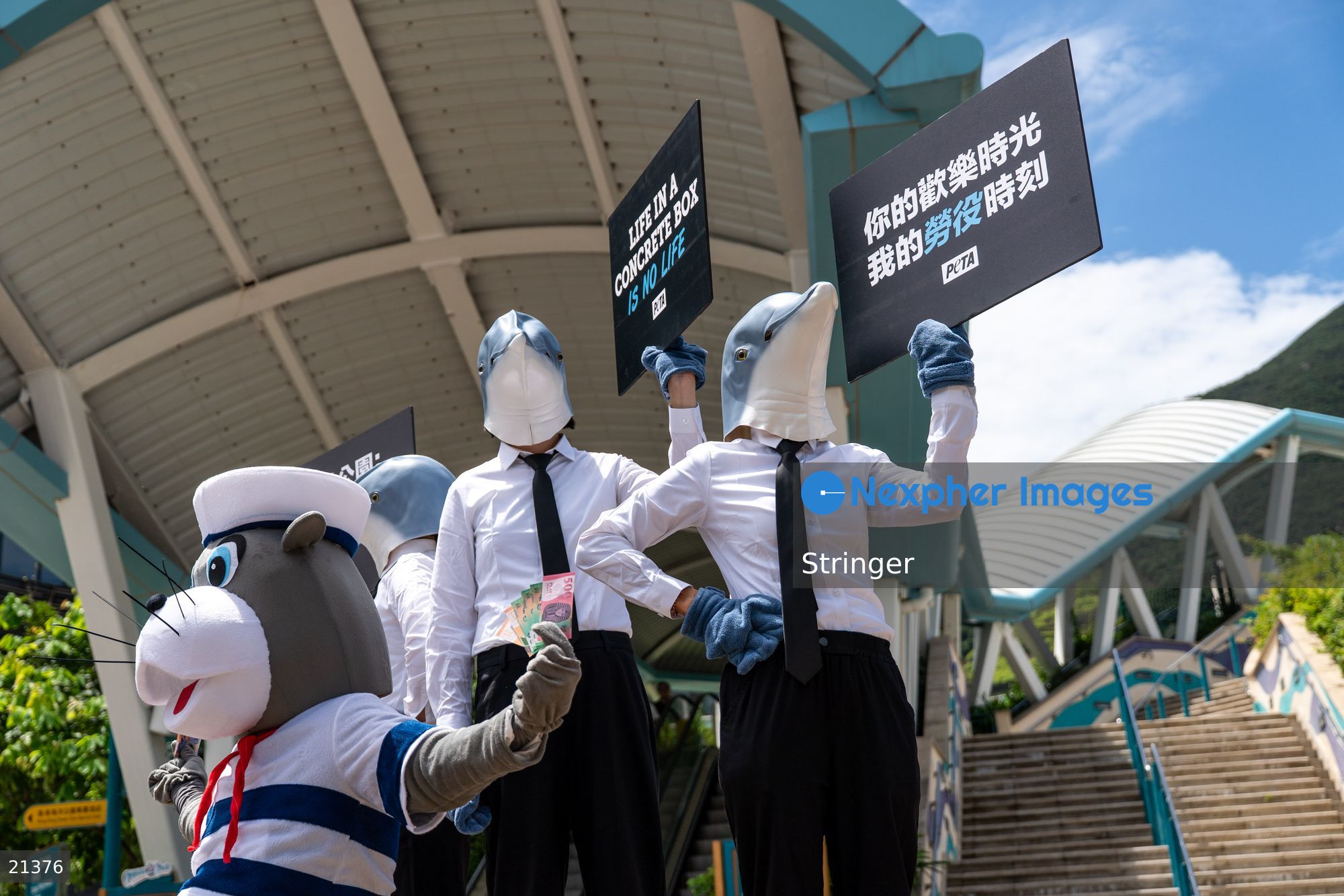 Hong Kong PETA protest against Ocean Park