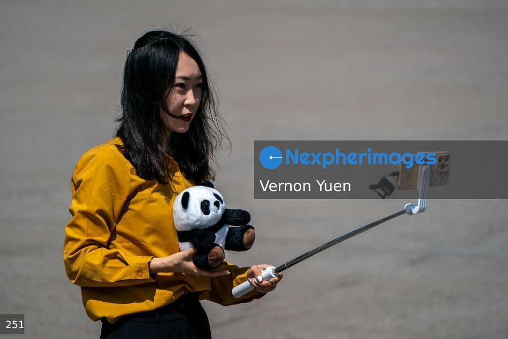 Pandas Arriving in Hong Kong International Airport