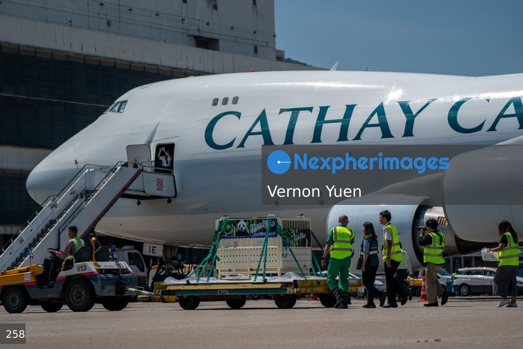 Pandas Arriving in Hong Kong International Airport