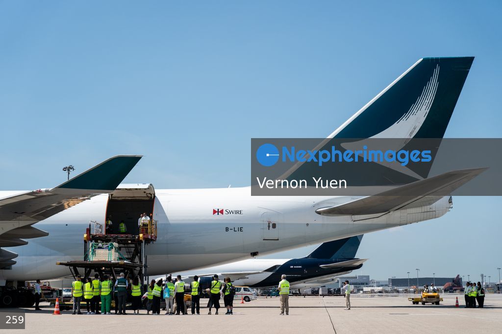 Pandas Arriving in Hong Kong International Airport