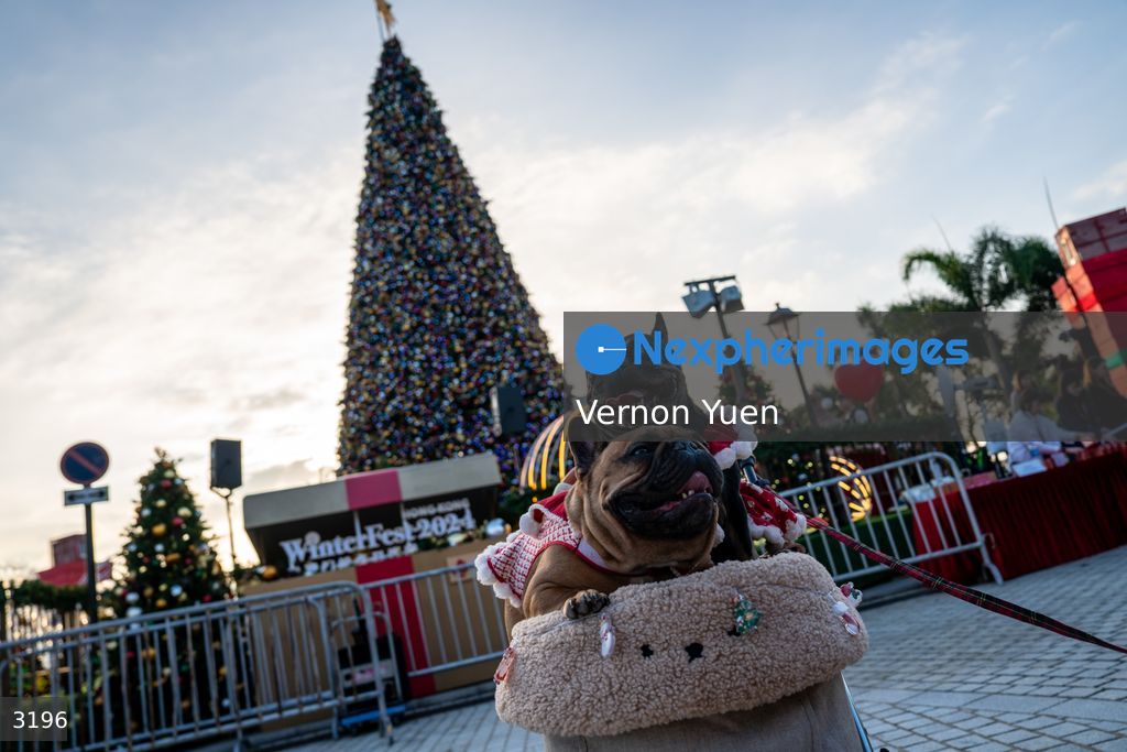 Hong Kong Christmas