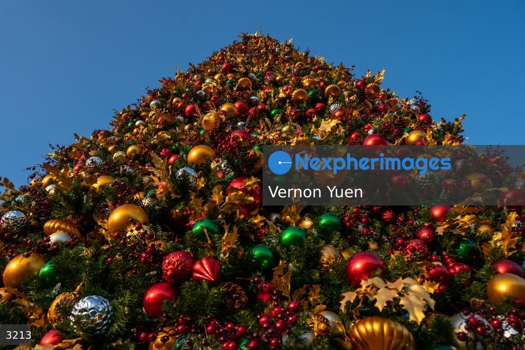 Hong Kong Christmas