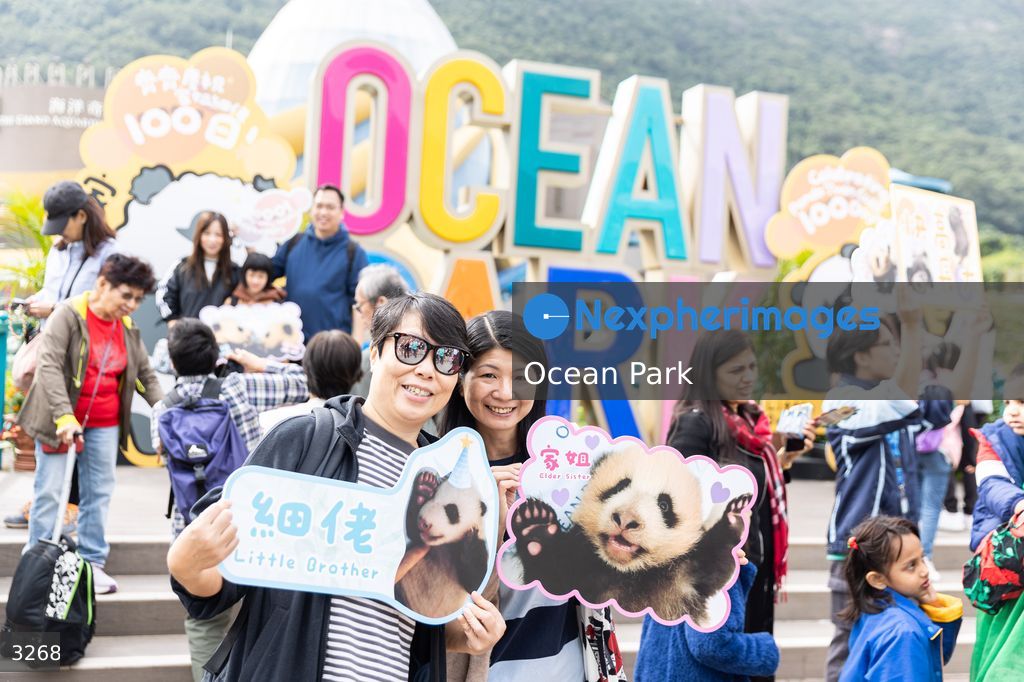 Hong Kong Born Baby Pandas Mark 100 Day Birthday