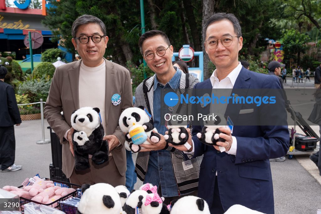 Hong Kong Born Baby Pandas Mark 100 Day Birthday