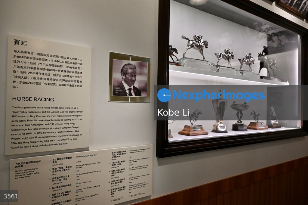 “Multifaceted Hong Kong” Exhibition Series