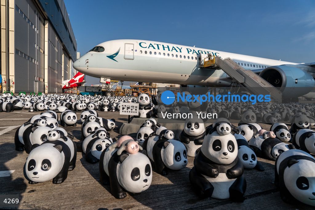 Hong Kong Panda Go Fest HK Airport Event