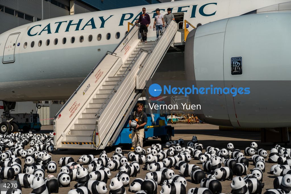 Hong Kong Panda Go Fest HK Airport Event