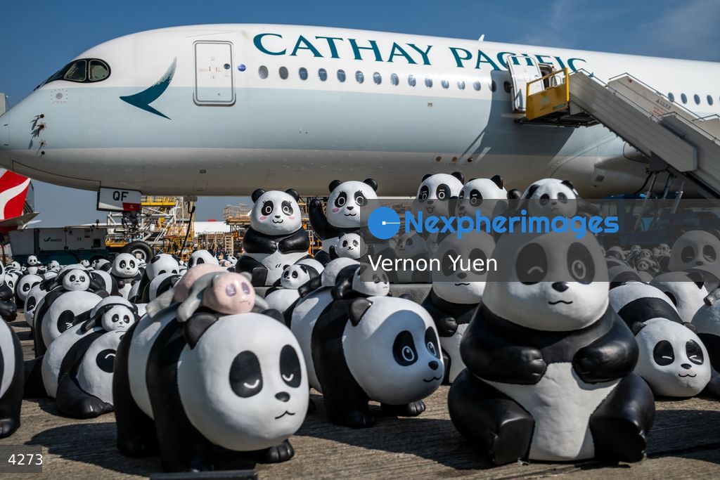 Hong Kong Panda Go Fest HK Airport Event