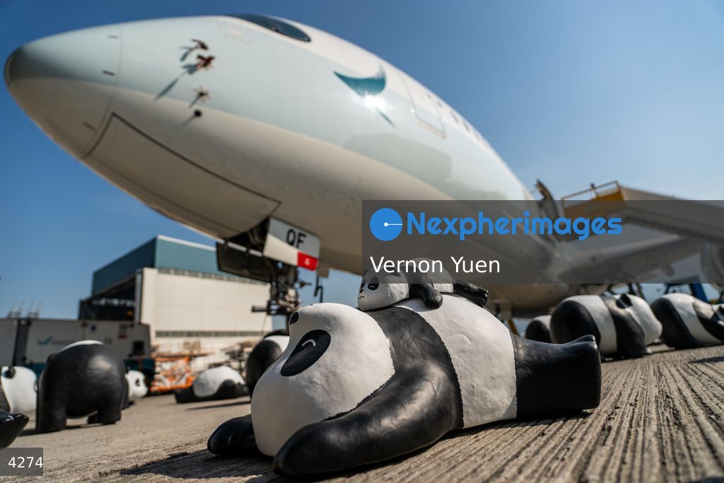 Hong Kong Panda Go Fest HK Airport Event