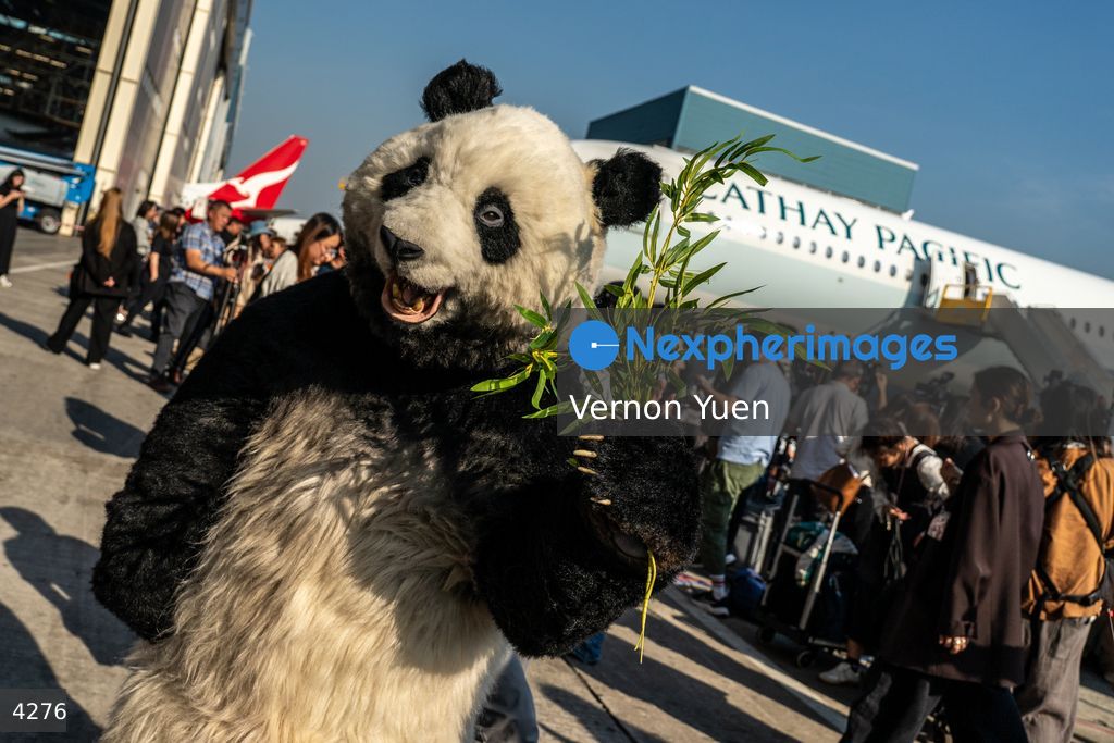 Hong Kong Panda Go Fest HK Airport Event