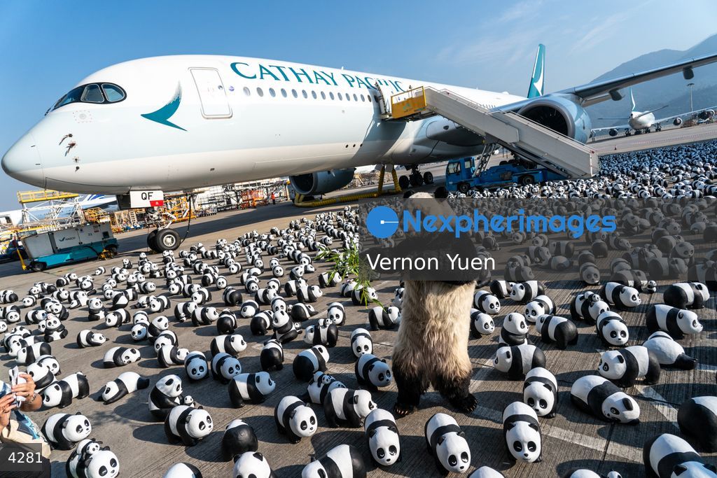 Hong Kong Panda Go Fest HK Airport Event