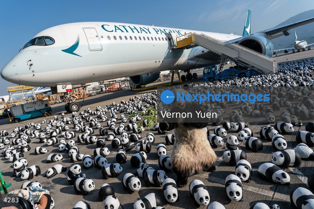 Hong Kong Panda Go Fest HK Airport Event