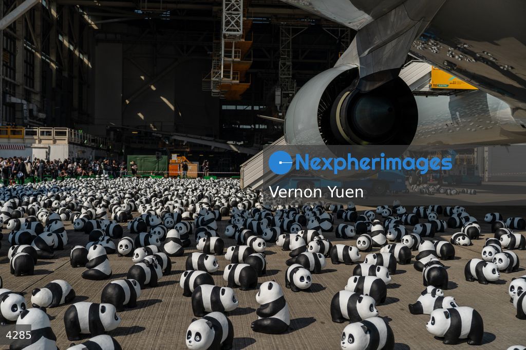 Hong Kong Panda Go Fest HK Airport Event