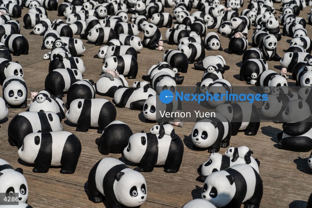 Hong Kong Panda Go Fest HK Airport Event