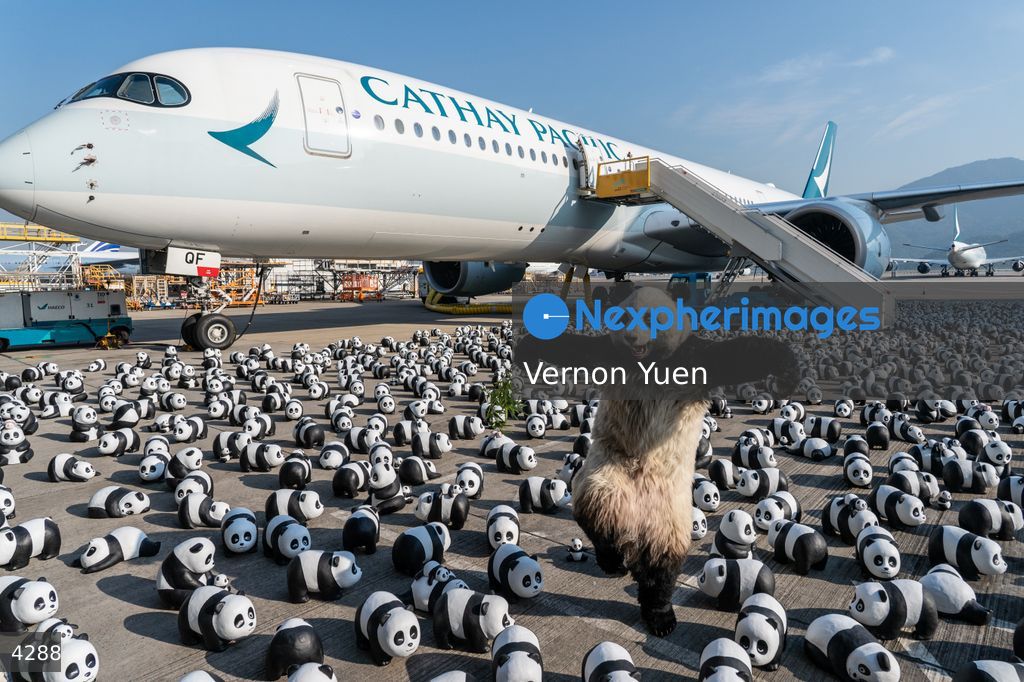 Hong Kong Panda Go Fest HK Airport Event