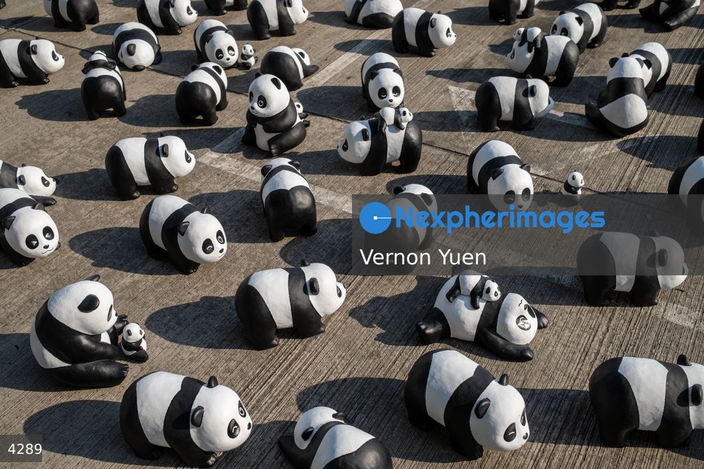 Hong Kong Panda Go Fest HK Airport Event