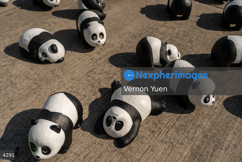 Hong Kong Panda Go Fest HK Airport Event