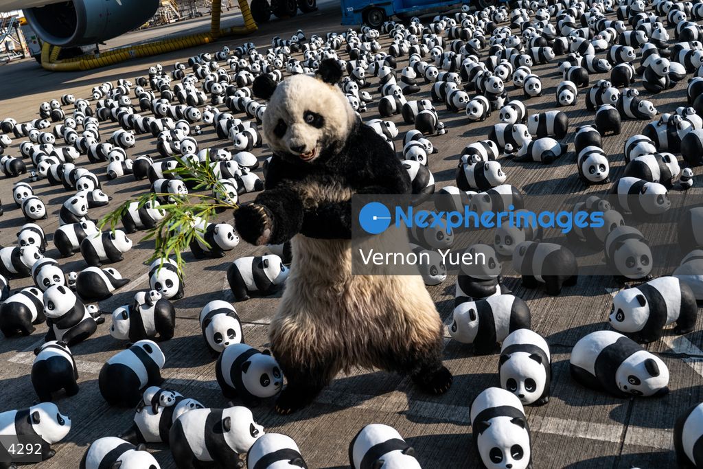 Hong Kong Panda Go Fest HK Airport Event
