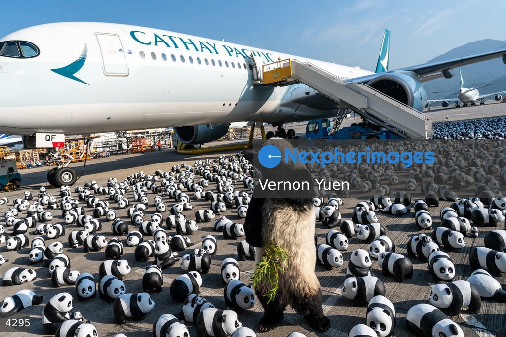 Hong Kong Panda Go Fest HK Airport Event