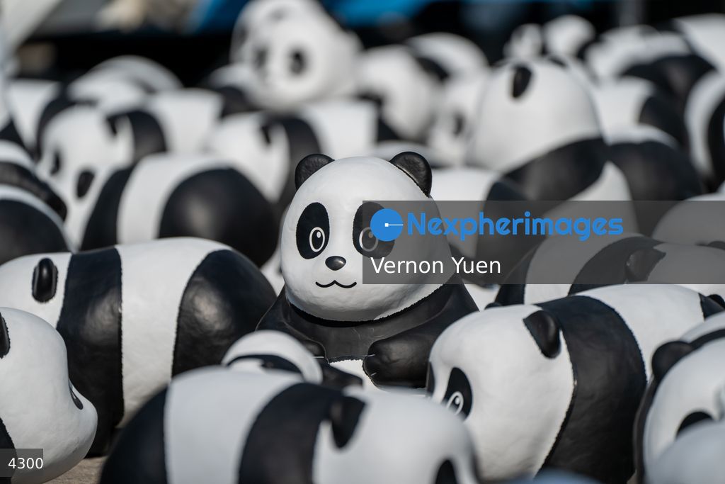 Hong Kong Panda Go Fest HK Airport Event