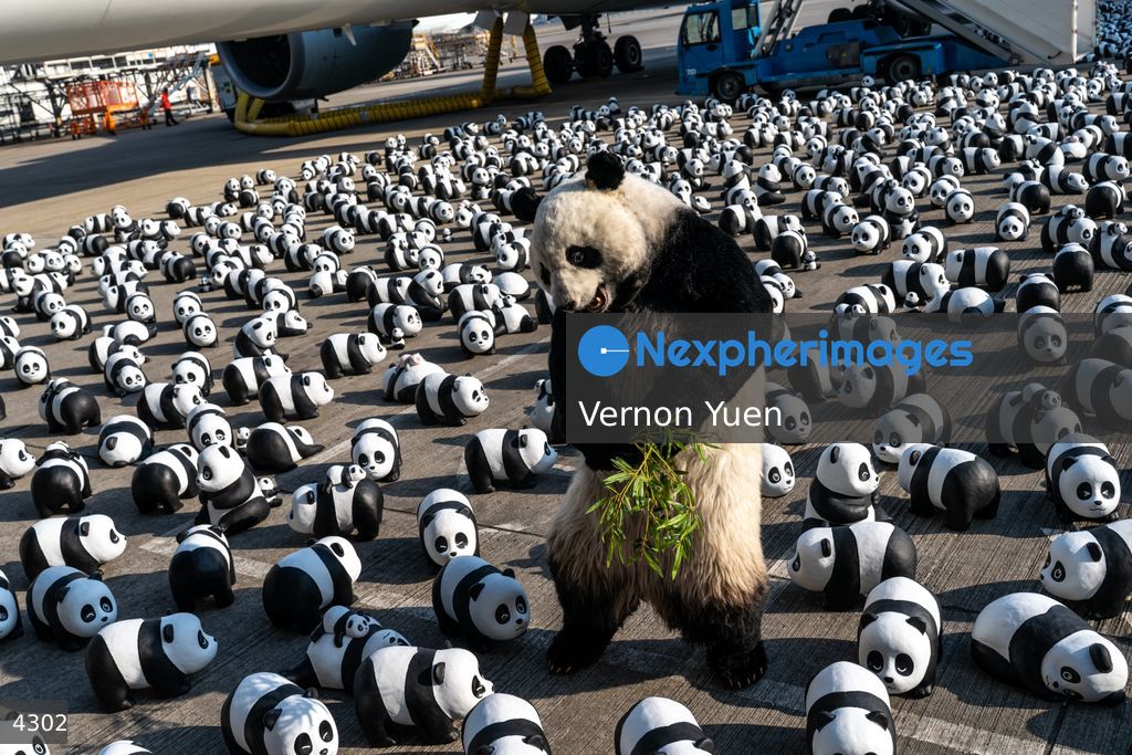 Hong Kong Panda Go Fest HK Airport Event