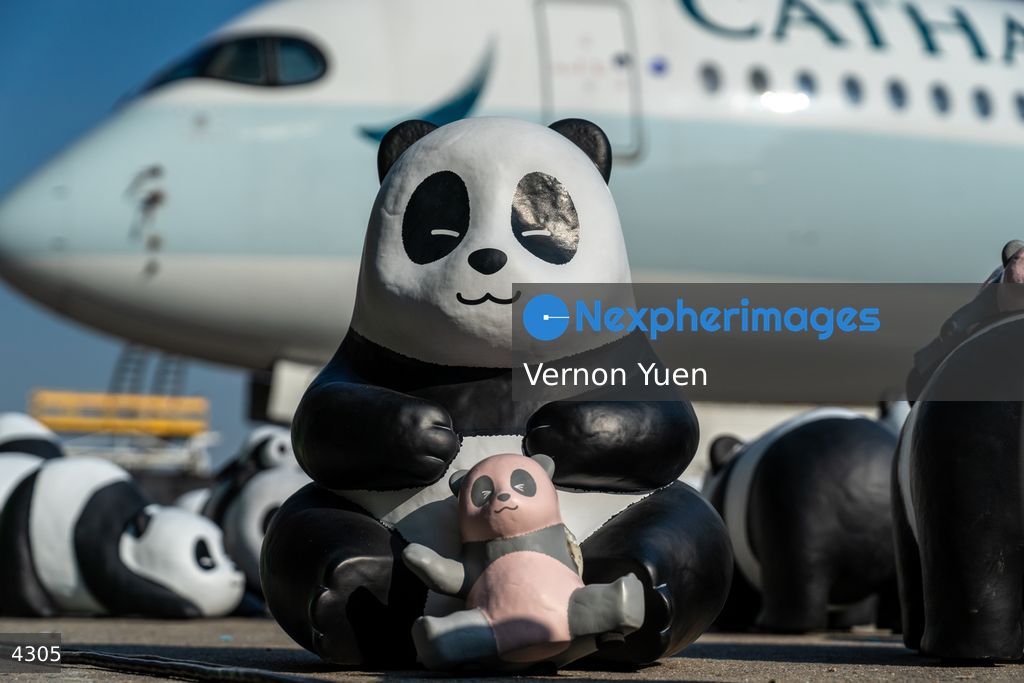 Hong Kong Panda Go Fest HK Airport Event