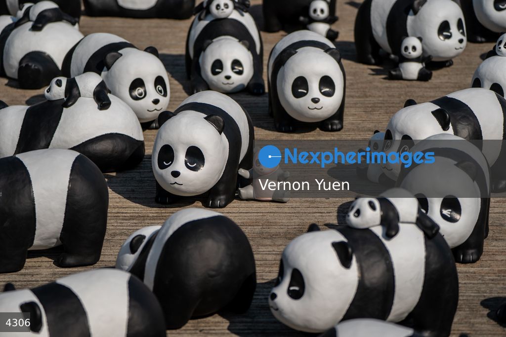 Hong Kong Panda Go Fest HK Airport Event