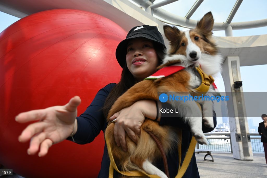 RedBall in Hong Kong