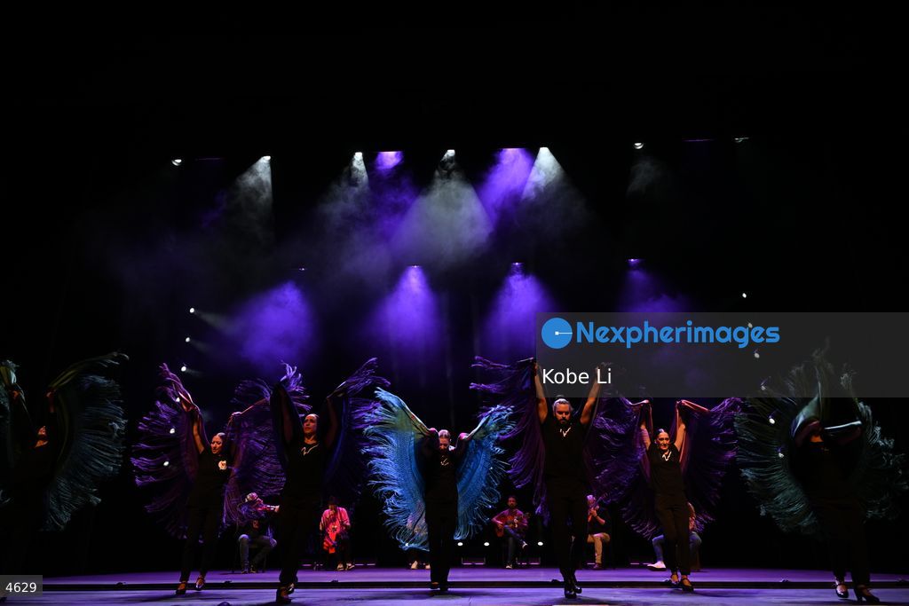 Flamenco star to perform In Hong Kong