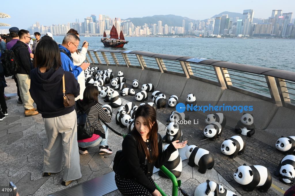 2500 panda models in Avenue of Stars