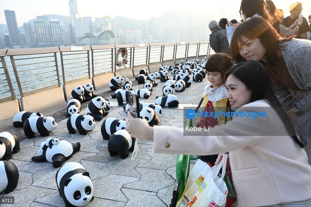 2500 panda models in Avenue of Stars