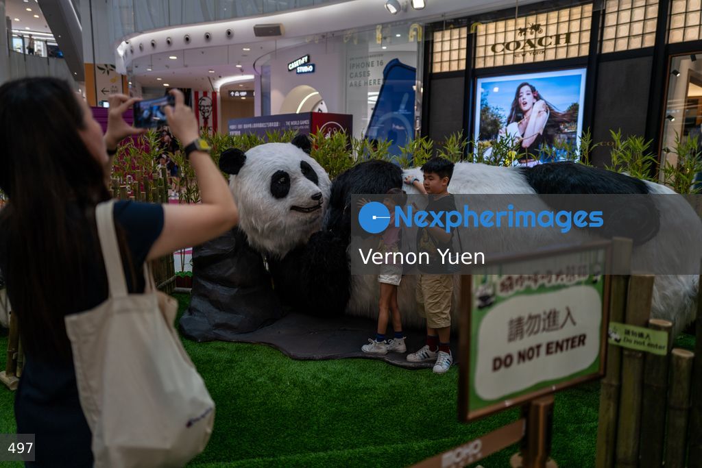 Hong Kong Daily Life