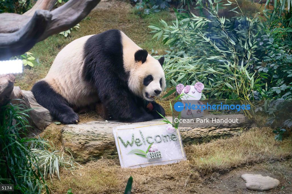 Hong Kong Ocean Park Greeting Ceremony