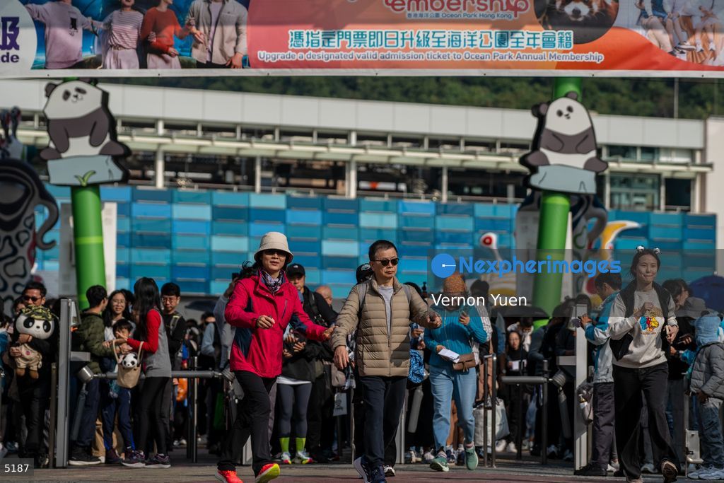 Hong Kong Giant Panda Gifted by China to Meet Public Today