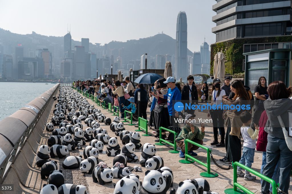 Hong Kong Daily Life