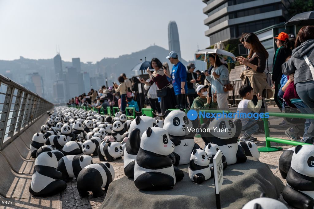 Hong Kong Daily Life