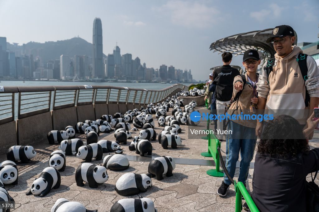 Hong Kong Daily Life