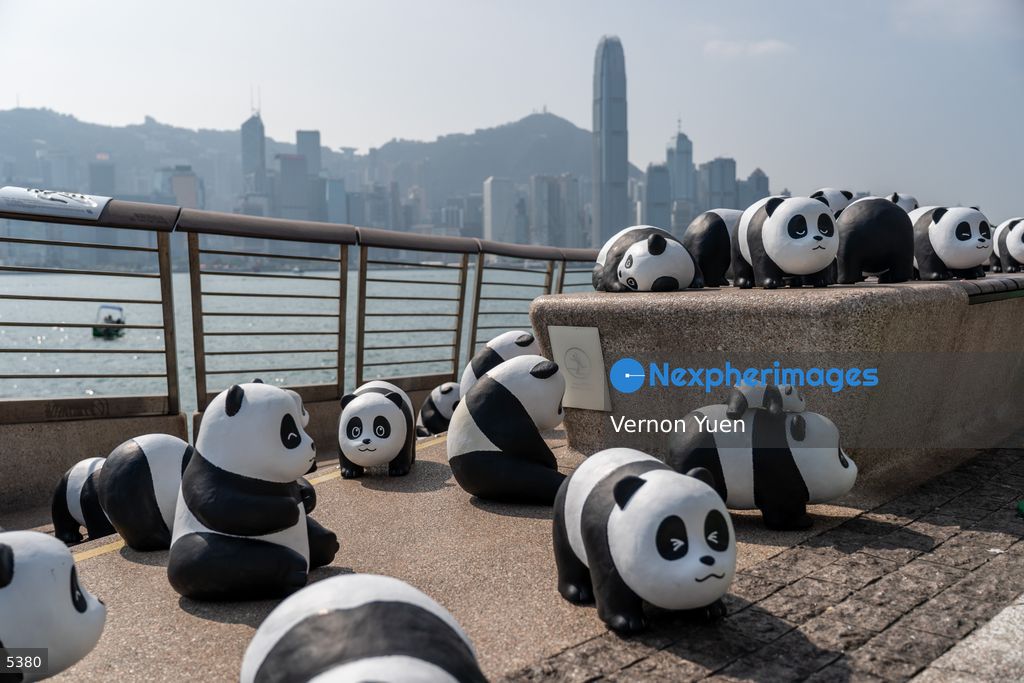 Hong Kong Daily Life