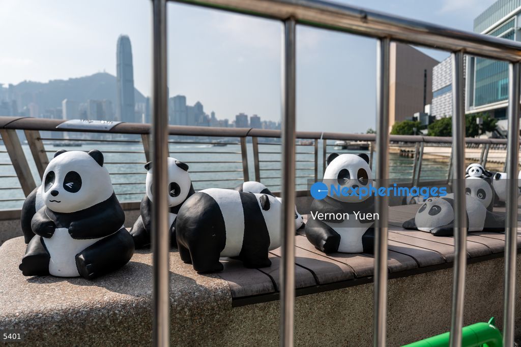 Hong Kong Daily Life