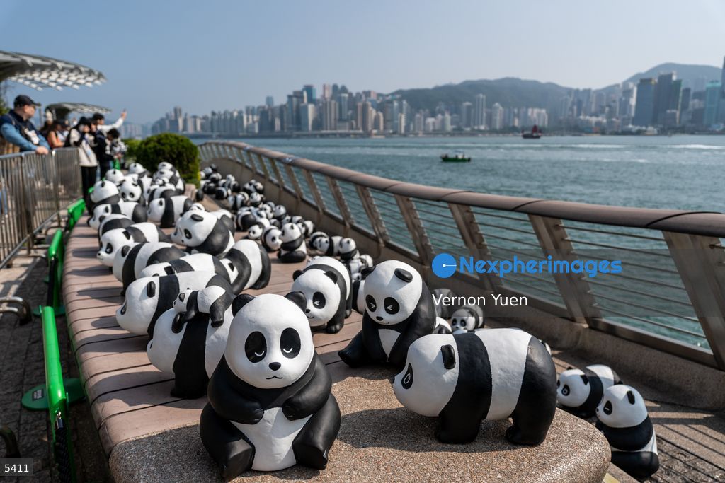 Hong Kong Daily Life