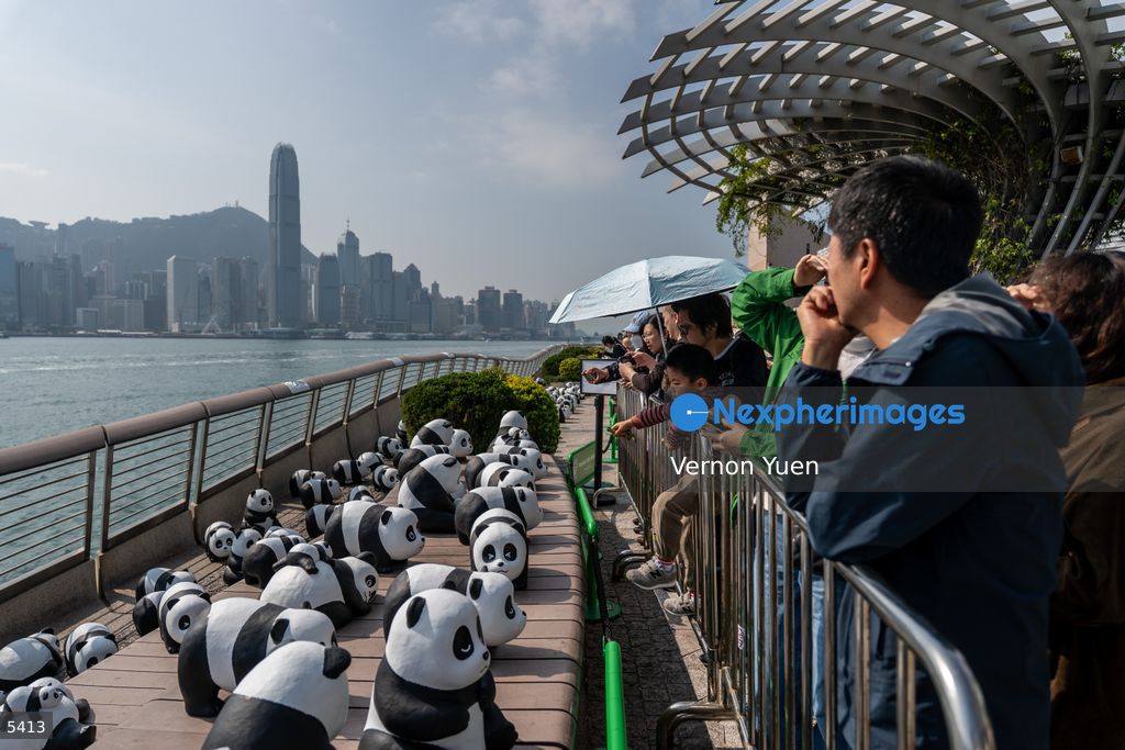 Hong Kong Daily Life