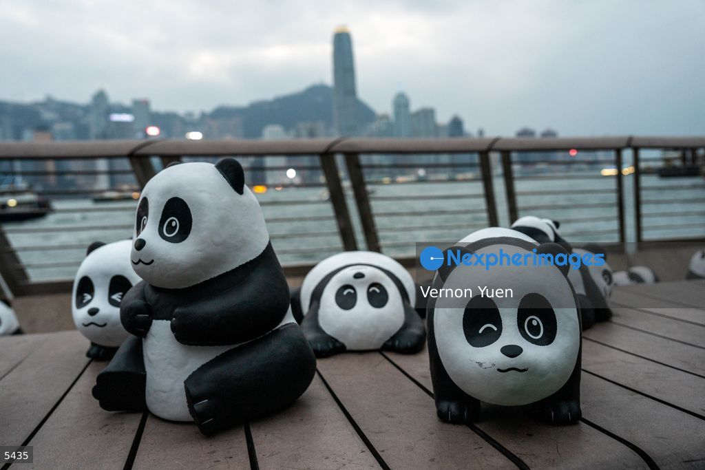 Hong Kong Daily Life