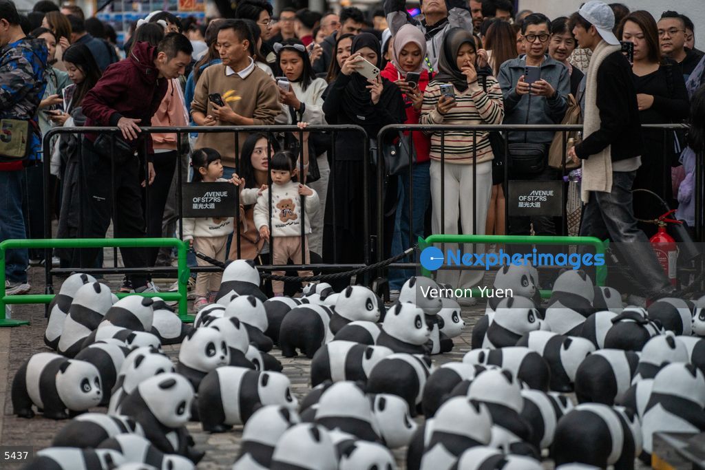 Hong Kong Daily Life
