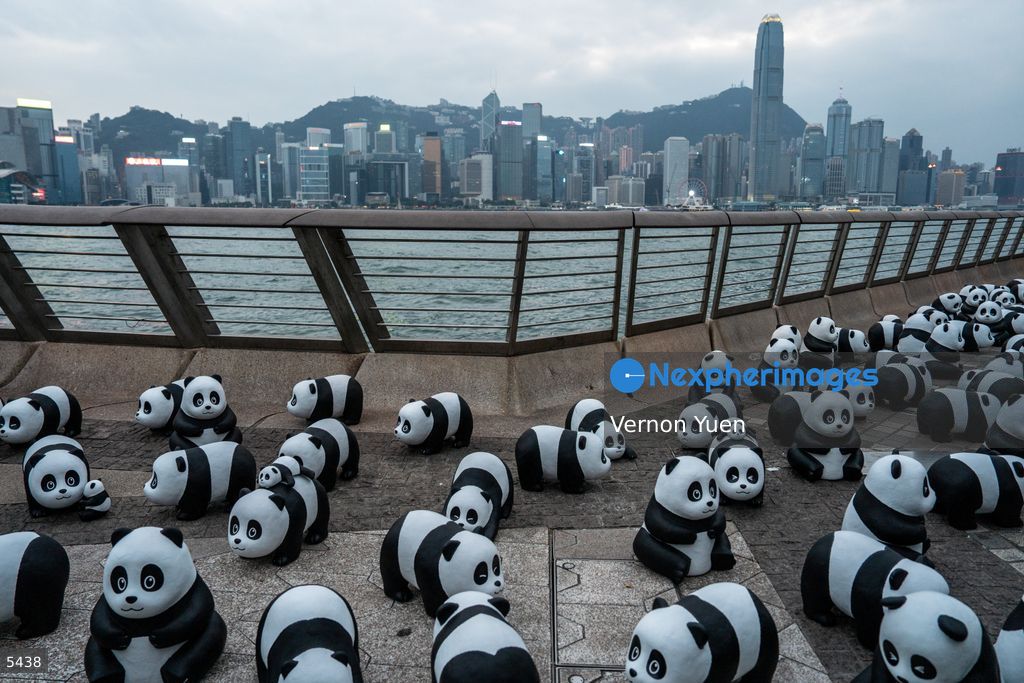 Hong Kong Daily Life