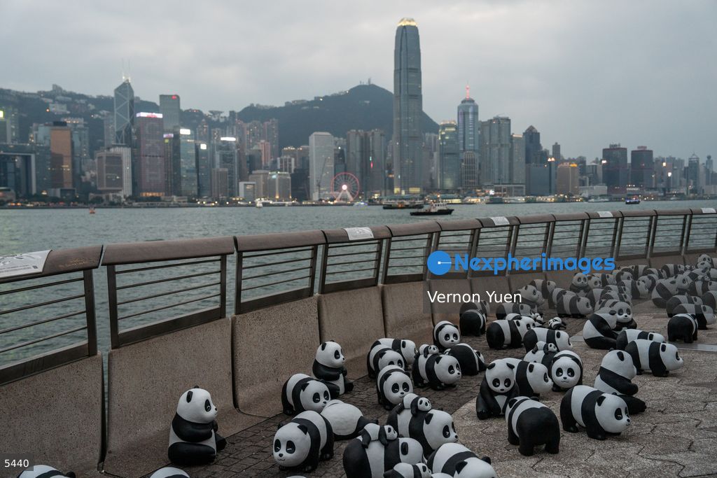 Hong Kong Daily Life