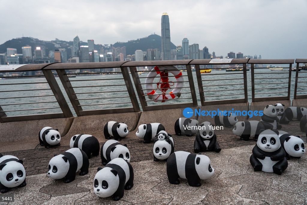 Hong Kong Daily Life