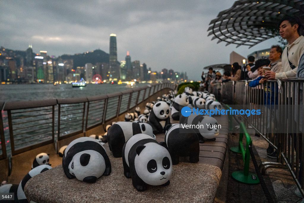 Hong Kong Daily Life