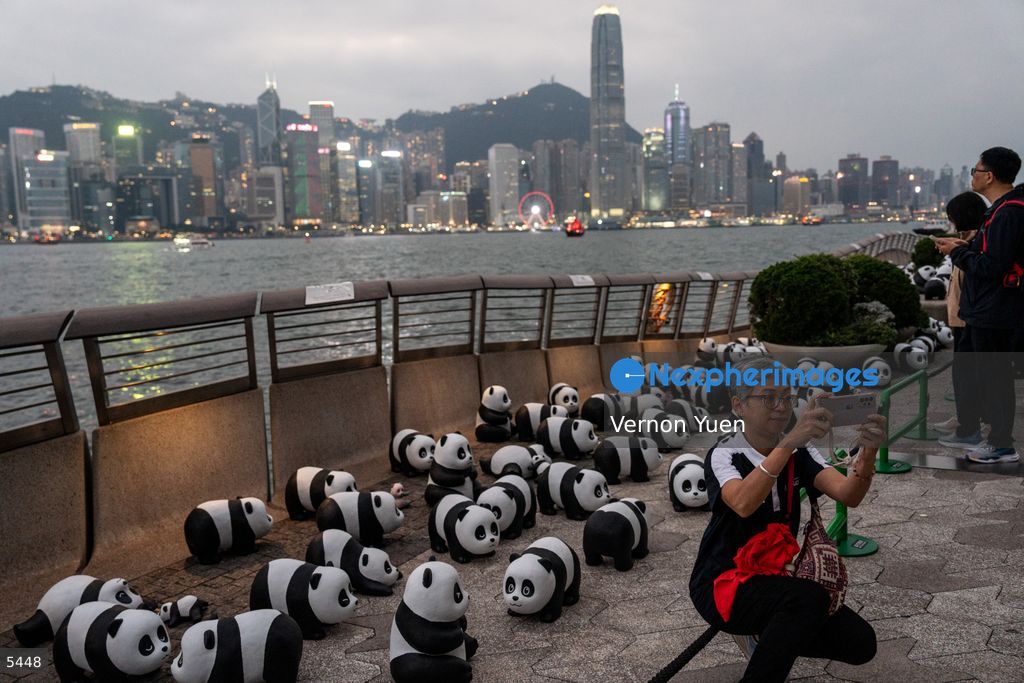 Hong Kong Daily Life