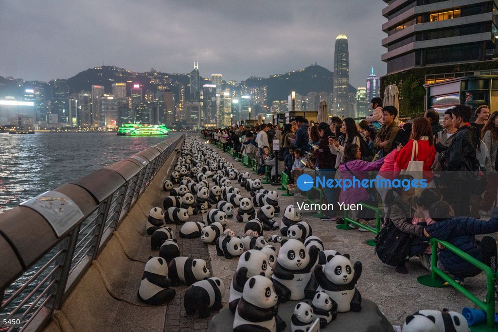 Hong Kong Daily Life