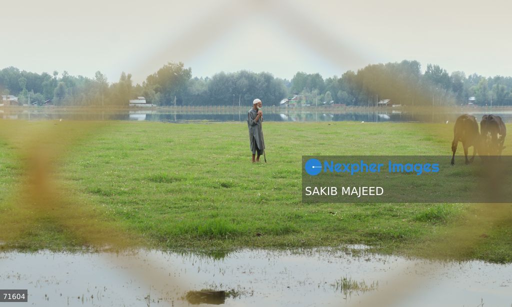 BANDIPORA, INDIA – JULY 31, 2026: Local residents navigate waterways on wooden boats, walk through lush green pastures, and go about their daily routines along the scenic outskirts of Bandipora district in North Kashmir. The series highlights traditional rural life, serene aquatic ecosystems, and dense forest foliage surrounding the region. (Photo by SAKIB MAJEED/Nexpher Images)